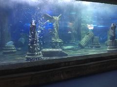-梦幻海洋王国(吾悦广场张家港店)