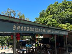 -东莞楼农家菜(金海湾大道分店)