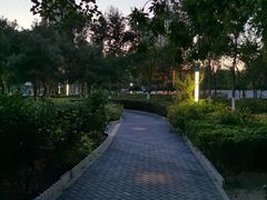 -庄怡公园