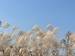 -湖州太湖旅游度假区-月亮广场