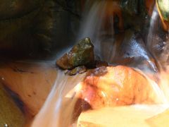 -华蓥山天意谷景区