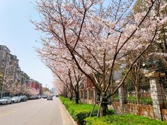 -永乐路-路侧停车场