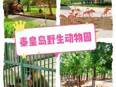 -秦皇岛野生动物园