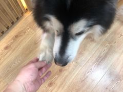 -白兔子密室(长寿路店)