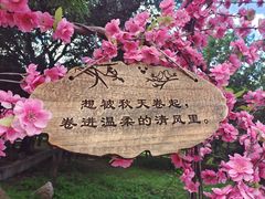 -北京凤凰岭
