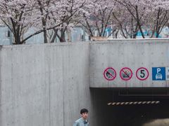 -龙美术馆西岸馆-停车场