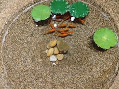 -顶福胜潮汕牛肉火锅(观沙岭店)