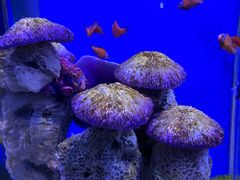 -海合安武汉极地海洋公园