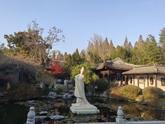 -梅园
