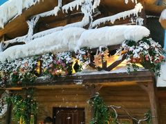 -世界之窗阿尔卑斯冰雪世界