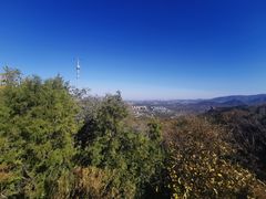 -阳台山自然风景区