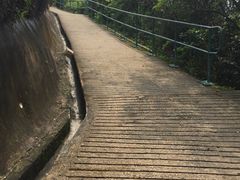 -南丫岛
