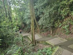 -凤栖山