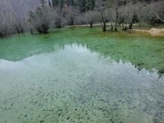 -黄龙山原始森林景区