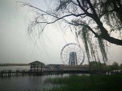 -太湖湖滨国家湿地公园-停车场