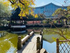 -上海醉白池公园