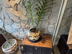 -生如夏花泰式火锅(西村黑金店)