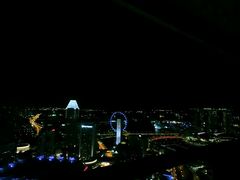 -新加坡瑞士史丹福酒店