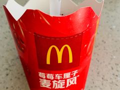 -麦当劳(红旗路店)