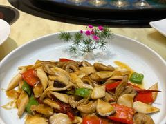 -丁老爷子苏香圆