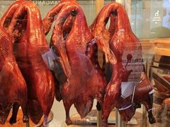 -顺城金记卤鸡·清真