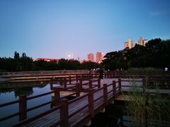 -绿岛公园(滨海新区)