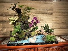 -白天鹅宾馆·流浮阁咖啡厅