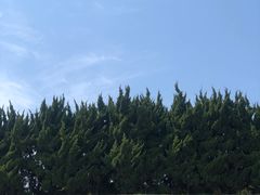 -燕儿岛山公园