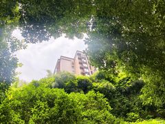 -竹吟山房