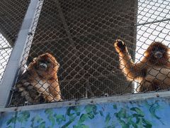 -西安秦岭野生动物园
