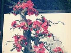 -月牙潭公园
