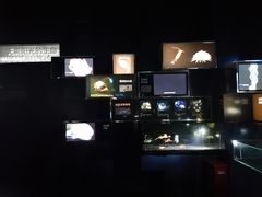 -同济大学四平路校区深海探索馆