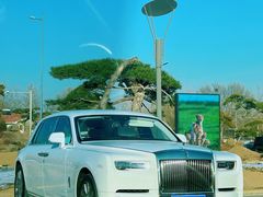 -罗红摄影艺术馆