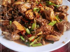 -生态苑农庄(十里画廊遇龙河店)