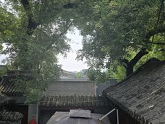 -程府宴(南长街四合院店)