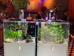 -咕嘟草帽鱼·牛奶一样的鲜鱼汤(包河万达广场创始店)