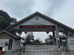 -中国大熊猫保护研究中心雅安碧峰峡基地