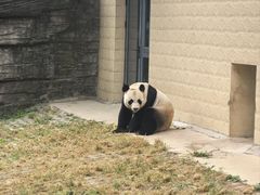 -石家庄市动物园