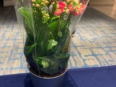 -万丽轩·粤菜(王府井金茂万丽酒店)