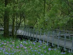 -西湖风景区-江洋畈生态公园