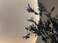 -伊斯坦布尔土耳其清真咖啡餐厅