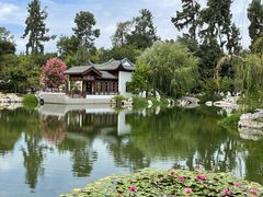 -汉庭顿图书馆