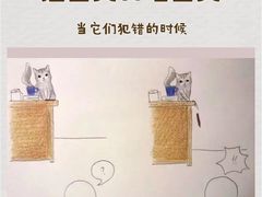 -瑞派天使宠物医院·神经外科·骨科·核磁(洛川中路店)