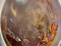 -金鼎雪山牦牛杂火锅(理县总店)