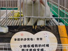 -大象厨房(重庆道店)