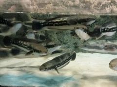 -洛阳龙门海洋馆
