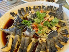 -京北渔家傲