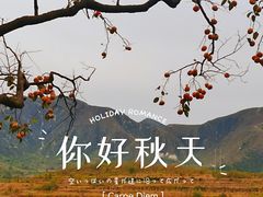 -北京上方山国家森林公园