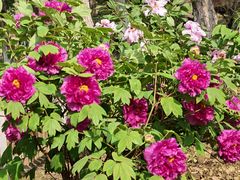 -江南大学(蠡湖校区)