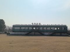 -西京湾花海
